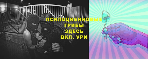 спиды Алзамай