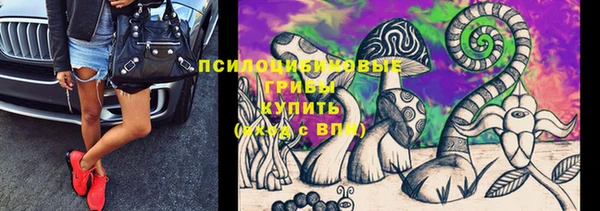 спиды Алзамай